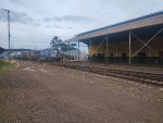 RUMO 2509